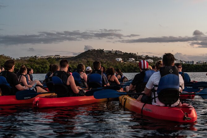 Fajardo Bio Bay Sunset Kayaking Tour - Tour Details