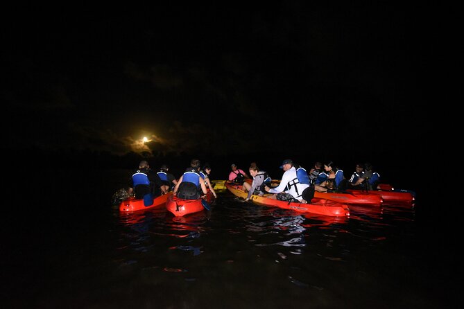 Fajardo Bio Bay Sunset Kayaking Tour - Additional Experiences and Recommendations