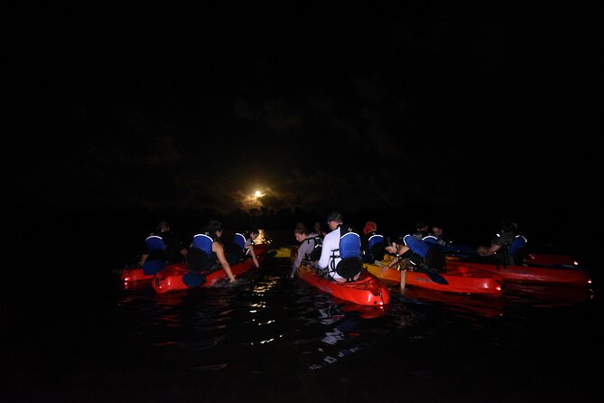 Fajardo Bio Bay Sunset Kayaking Tour - Important Reminders and Tips