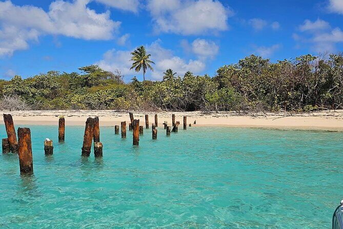 Fajardo Puerto Rico Private Boat Tour to Cayo Icacos - Who Will Love This Tour?