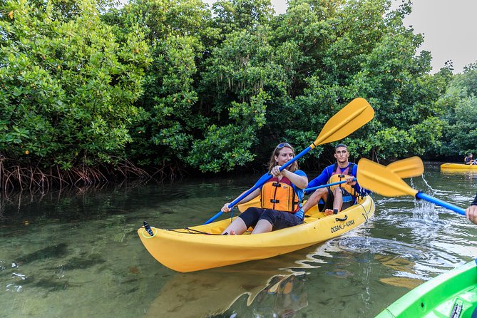 Fajardo Small-Group Bio Bay Night Kayak  - Puerto Rico - Common Questions