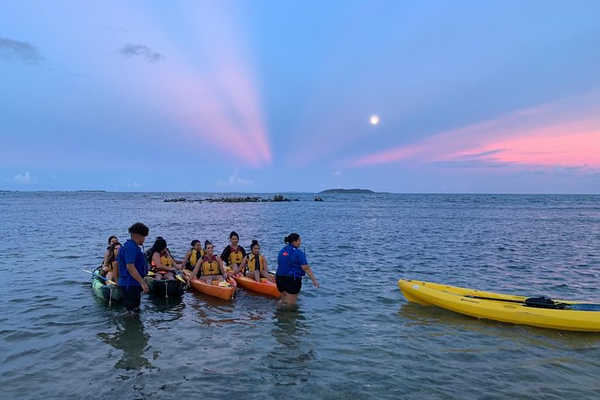 Fajardo Small-Group Bio Bay Night Kayak  - Puerto Rico - The Sum Up