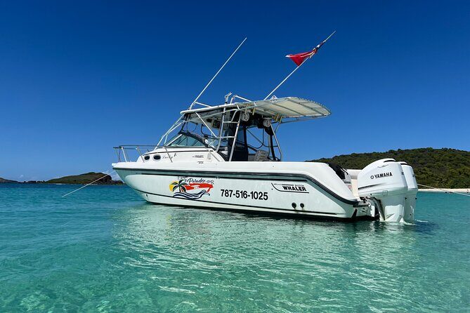 Fajardo to Culebra Charter Tour, Snorkeling and Beach Day - Introduction