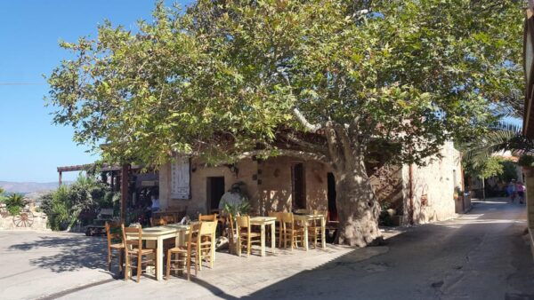 Falassarna - Half Day Shore Excursion From Chania - Cretan Culinary Experience