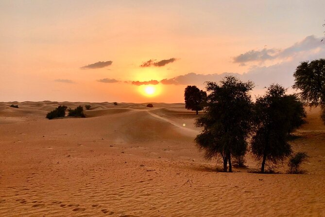 Falcon 1—Private Dubai Falconry Safari - Pricing and Booking Information