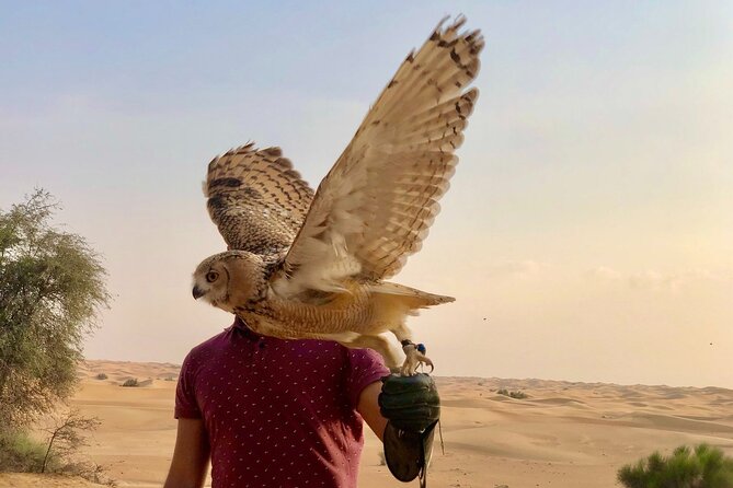 Falcon 1—Private Dubai Falconry Safari - Tour Highlights