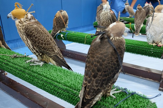Falcon Hospital Tour Abu Dhabi - Tour Details and Duration