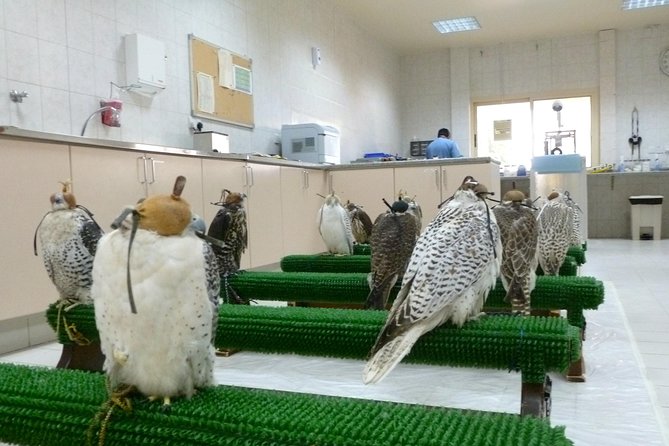 Falcon Hospital Tour Abu Dhabi - Inclusions and Pickup Information