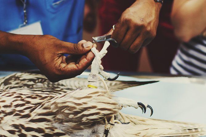 Falcon Hospital Tour With Hotel Pick up & Drop off - Booking Details