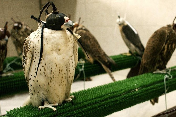 Falcon Hospital Tour With Hotel Pick up & Drop off - Option to Include Return Hotel Transfers