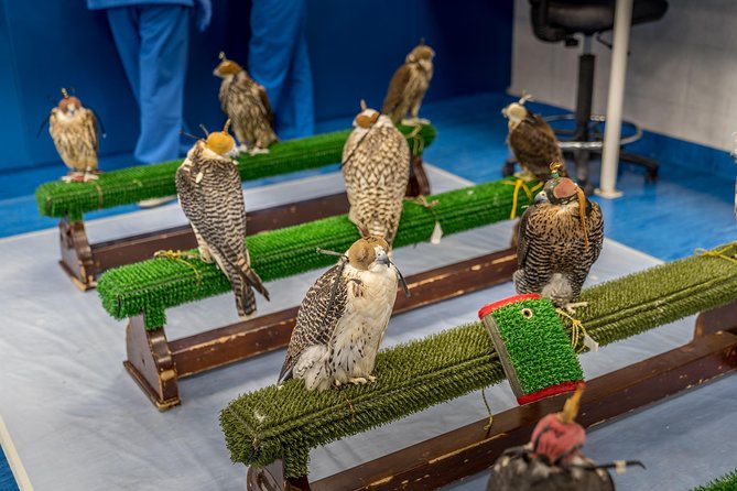 Falcon Hospital Tour With Hotel Pick up & Drop off - Non-Refundable if Canceled