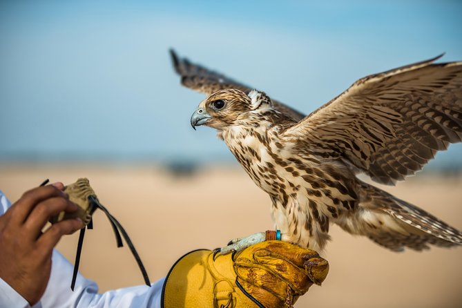 Falcon Hospital Tour With Hotel Pick up & Drop off - Common Questions