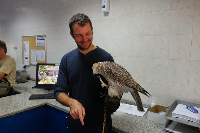 Falcon Tour Abu Dhabi With Hotel Pickup And Drop Off - Price and Guarantee