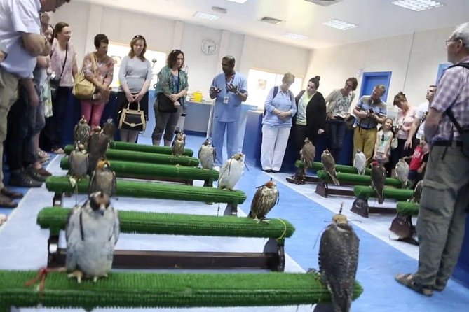 Falcon Tour Abu Dhabi With Hotel Pickup And Drop Off - Date and Travelers
