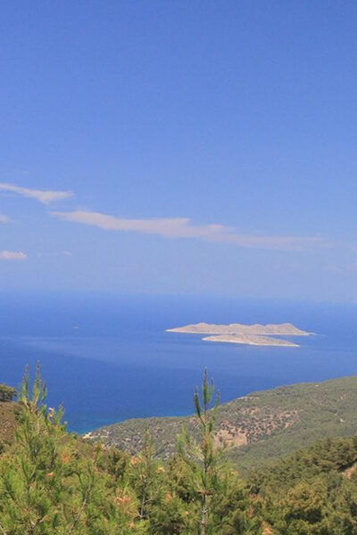 Faliraki: Private Safari Tour in Our XXL 4x4 - Alternative Vehicle Choices