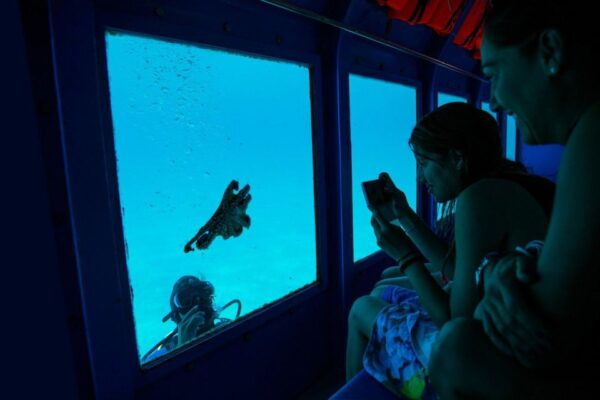 Faliraki: Yellow Submarine Cruise With Underwater Views - Directions