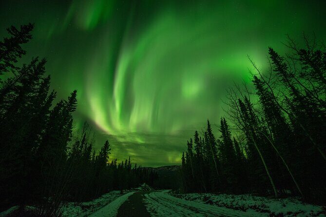 Fall Aurora Mushing Cart Ride Bucket List Adventure - Good To Know