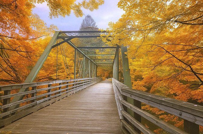 Fall Foliage Scenic Day Trip to Vermont and Western MA with Stops - Practical Considerations and Tips