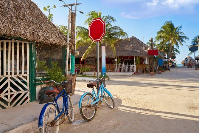 Fall in love with the Holbox island tour, Punta Mosquito & lunch. - The Realities: Pros and Cons