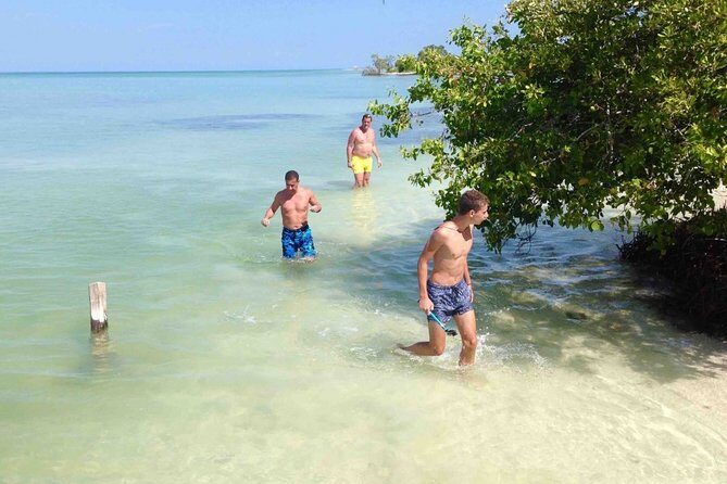 Fall in love with the Holbox island tour, Punta Mosquito & lunch. - Insights from Reviews