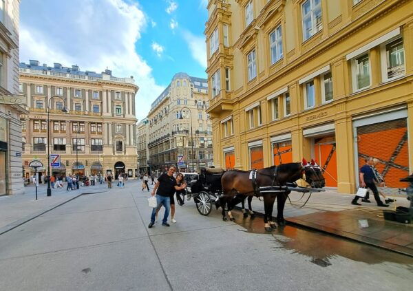 Fall in Love With Vienna Tour - Tour Inclusions and Exclusions