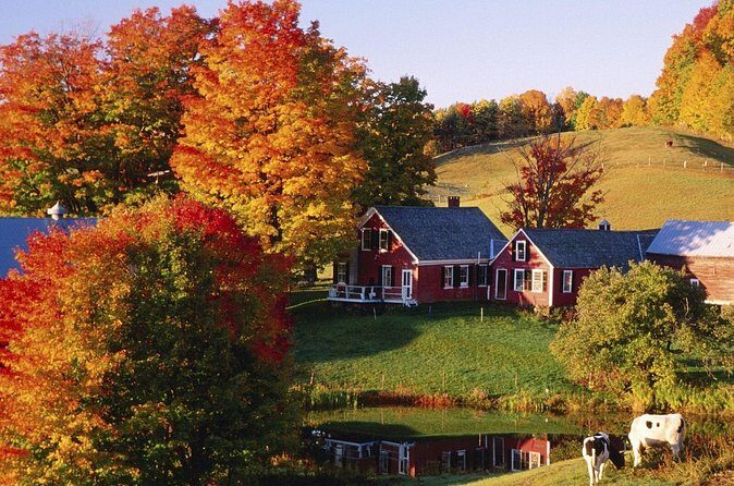 Fall Season, Vermont Maple Fall Foliage 2-Day Tour from New York - The Sum Up