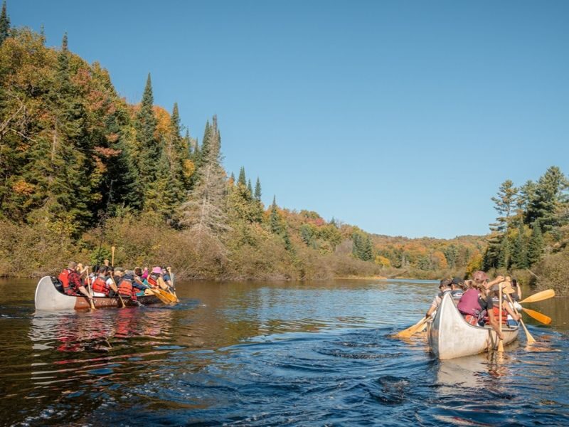 Falls & Forest Trails Algonquin Adventure in Canada - The useful details at a glance