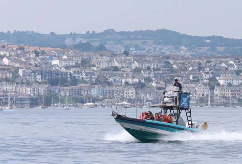 Falmouth: 2 Hour Wildlife Watching RIB Tour - An Exciting Way to See Cornwall’s Coastline