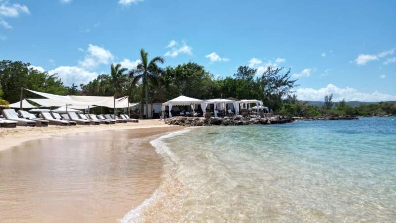 Falmouth: Bamboo Beach Club & Dunn's River Falls - Who Is This Tour Best For?