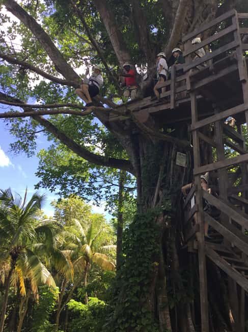 Falmouth: Dunn's River Falls, Blue Hole, and Zipline Tour - Final Thoughts: Who Is This Tour Best For?