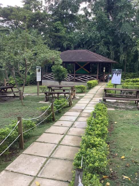 Falmouth: Green Grotto Caves Tour - Walking Tour Highlights & Practical Tips