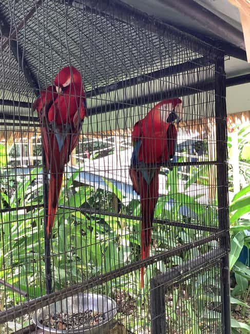 Falmouth: Konoko Falls and White River Tubing Day Tour - Good To Know