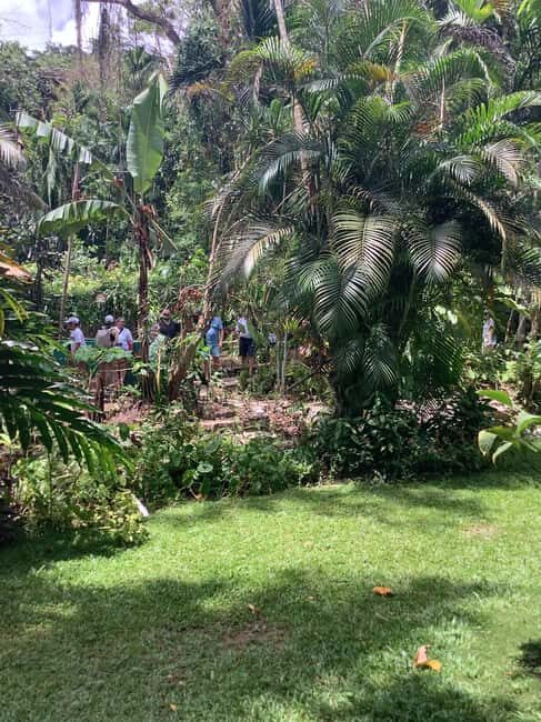 Falmouth: Konoko Falls and White River Tubing Day Tour - Practical Details and Tips