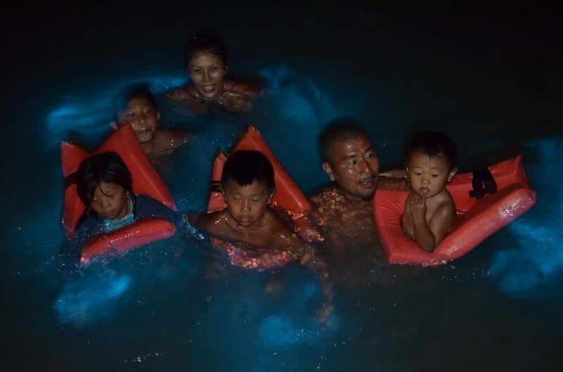 Falmouth: Luminous Lagoon Boat Tour - The Sum Up  