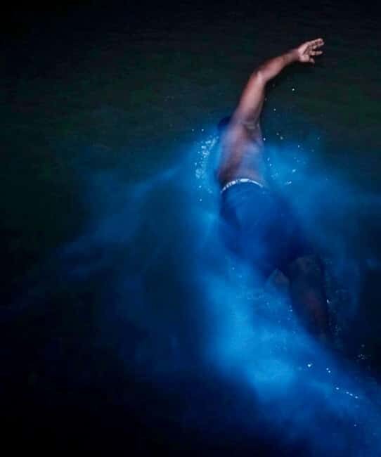 Falmouth: Luminous Lagoon Night Experience - An In-Depth Look at the Falmouth Luminous Lagoon Night Experience