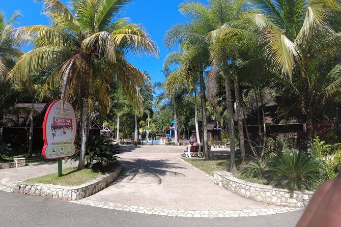 Falmouth to Ocho Rios Guided Tour (Dunn's River Falls & Shopping) - Transportation and Practical Details