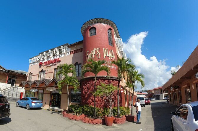 Falmouth to Ocho Rios Guided Tour (Dunn's River Falls & Shopping) - Who is This Tour Best For?