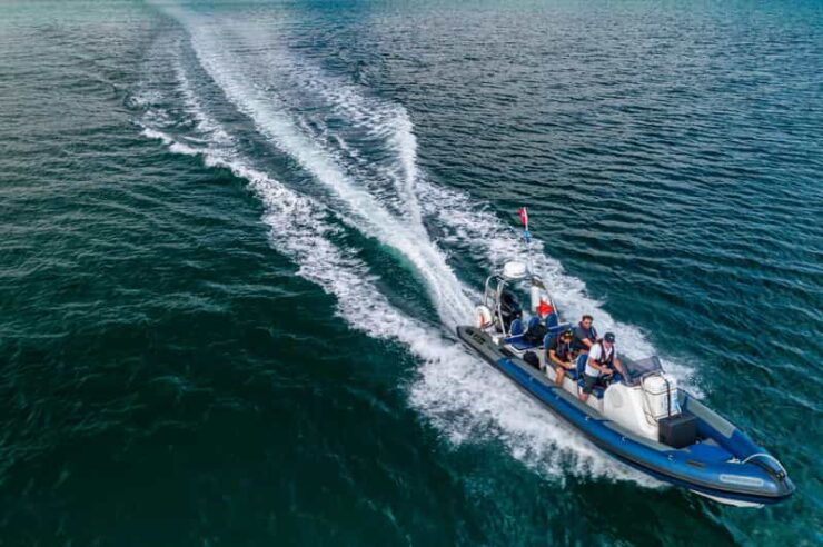 Falmouth: Two Hour RIB Tour - Good To Know