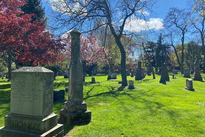 Fame and Folly in Victorian Cabbagetown - Final thoughts