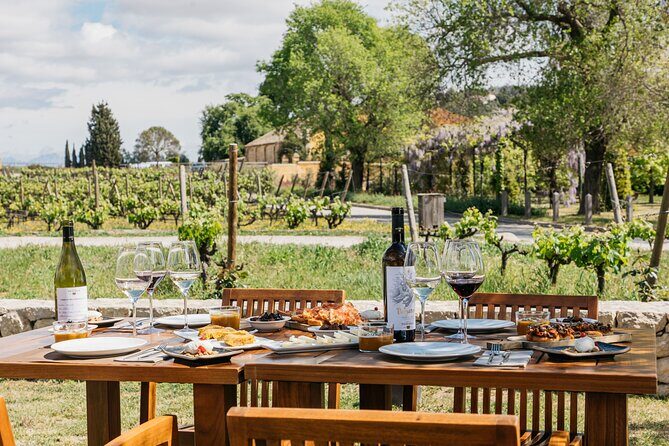 Familia Torres Winery: Gastronomic Tapas & Wine Experience - What You’ll Love About This Tour