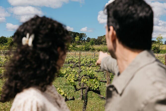 Familia Torres Winery: Gastronomic Tapas & Wine Experience - Who Will Love This Experience?