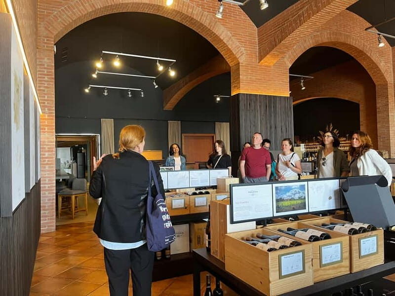 Familia Torres Winery: Gastronomic Tapas & Wine Experience - An In-Depth Look at the Familia Torres Experience