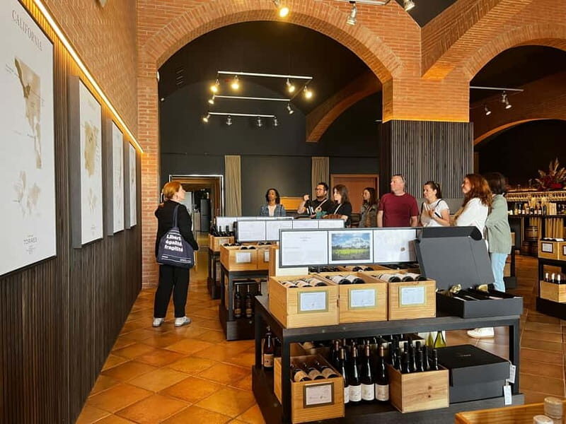 Familia Torres Winery: Gastronomic Tapas & Wine Experience - Real Experiences from Past Travelers