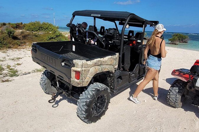 Family Adventure Buggy - Exploring the Ride: The Practicalities and Experience