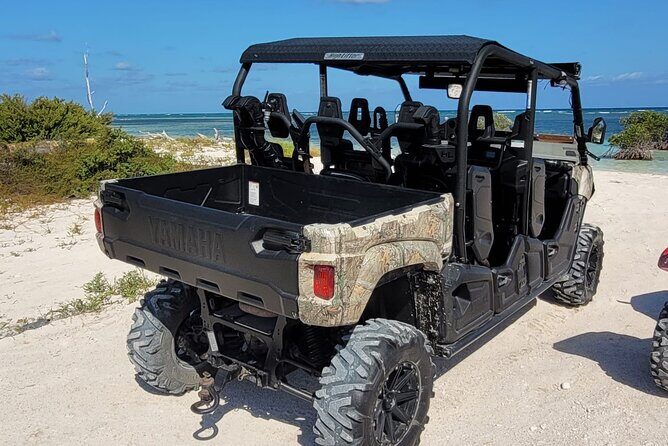 Family Adventure Buggy - Pricing and Value: Is It Worth It?