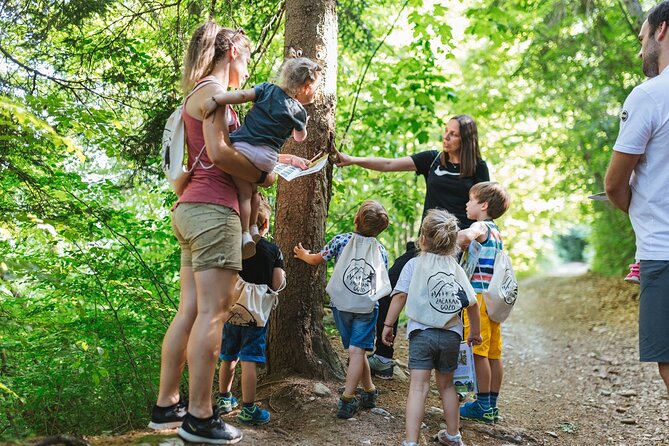 Family Adventure in Bled - Enchanted Forest Theme Park - Meeting Point and Start Time