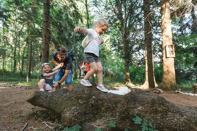 Family Adventure in Bled - Enchanted Forest Theme Park - Cancellation Policy