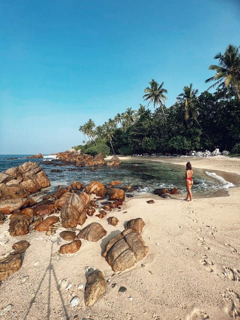 Family Adventure: Spring Break in Sri Lanka; 7 Days Tour - Accommodation Options