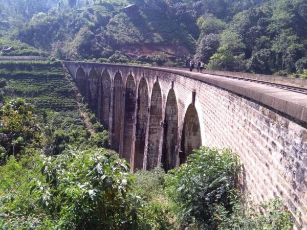 Family Adventure: Spring Break in Sri Lanka; 7 Days Tour - Frequently Asked Questions