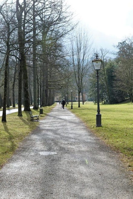 Family Adventure Stroll: Exploring Baden-Baden's Treasures - Experience Features